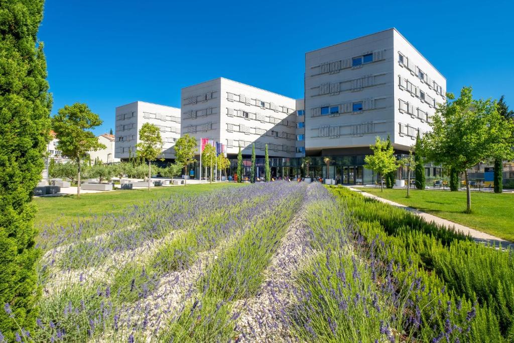 Modern white Student Centre Academia buildings behind a garden of lavender and trees