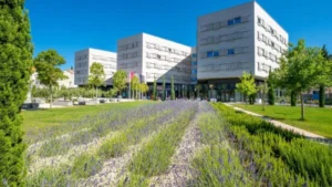 Discover Tranquil Productivity at Akademis Academia: Dubrovnik’s Premier Co-Working Space