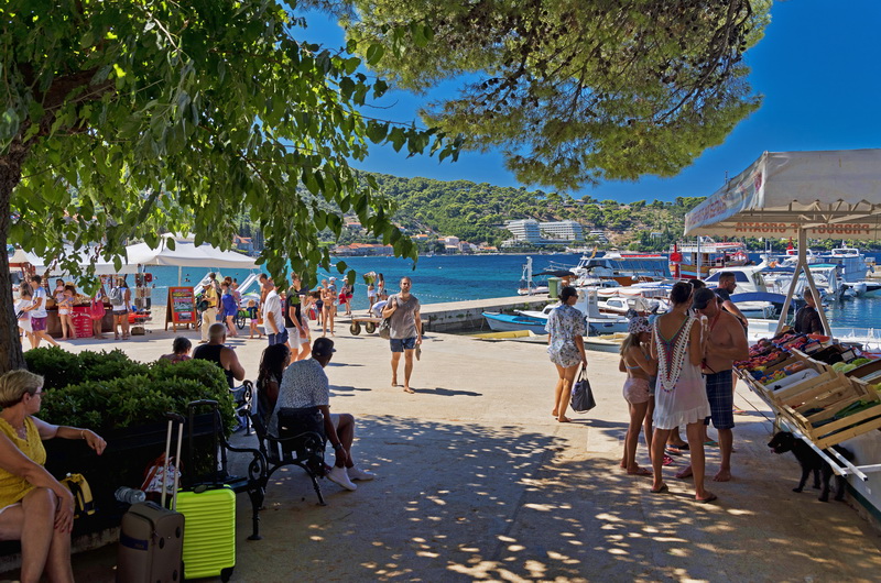 Seafront promenade in Lopud village with pine trees, a fruit stall, visitors and moored boats
