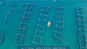 Shellfish Extravaganza: Ston Oyster Day Returns to Celebrate Pelješac’s Culinary Heritage with Charity and Tradition