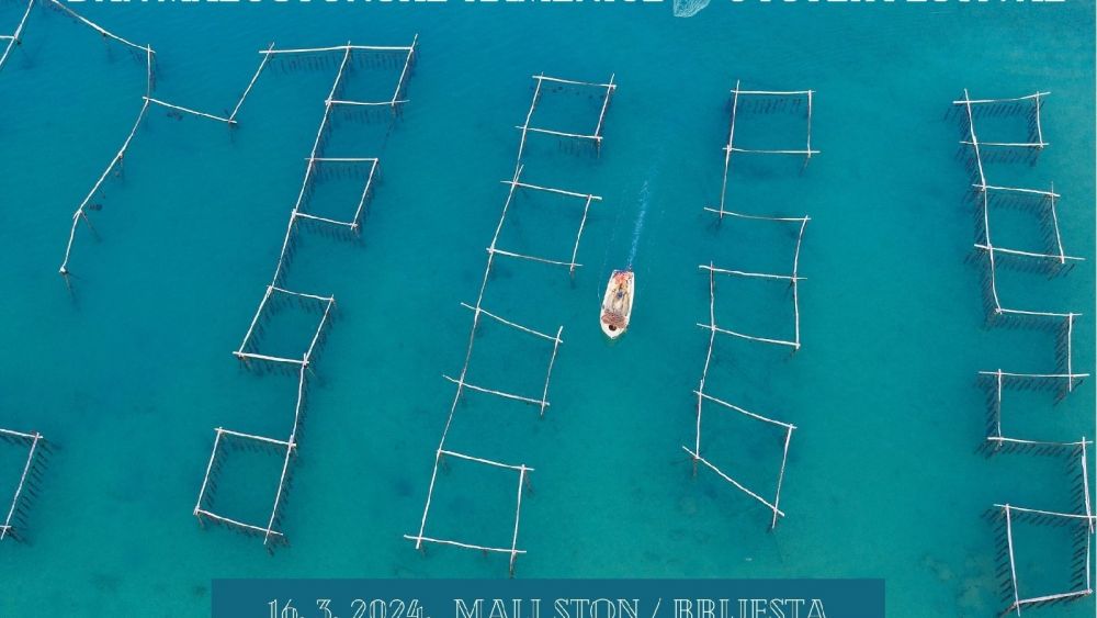 Shellfish Extravaganza: Ston Oyster Day Returns to Celebrate Pelješac’s Culinary Heritage with Charity and Tradition