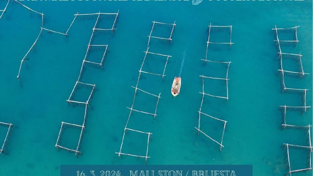 Shellfish Extravaganza: Ston Oyster Day Returns to Celebrate Pelješac’s Culinary Heritage with Charity and Tradition