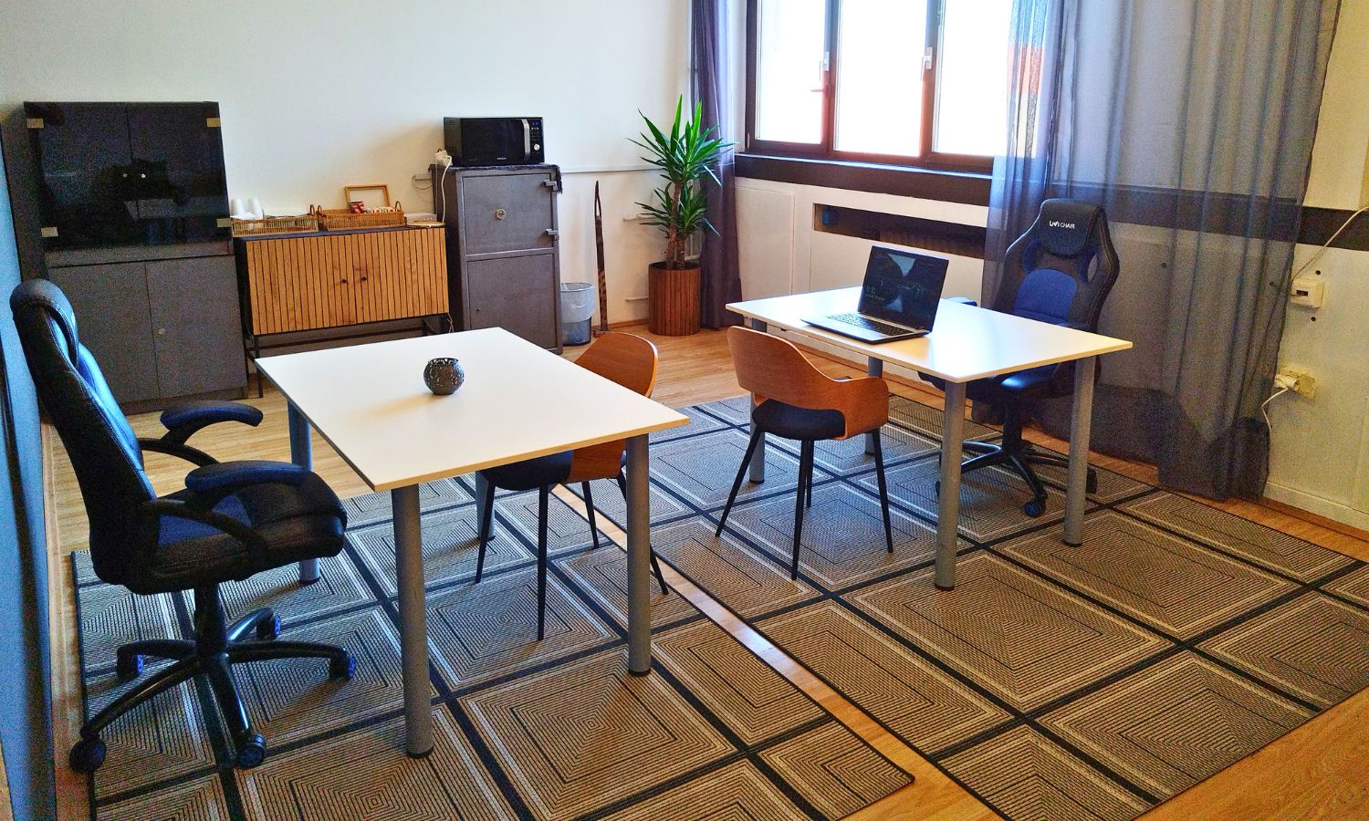 Co-working room at TUP with two desks, office chairs, a laptop and a large plant by the window