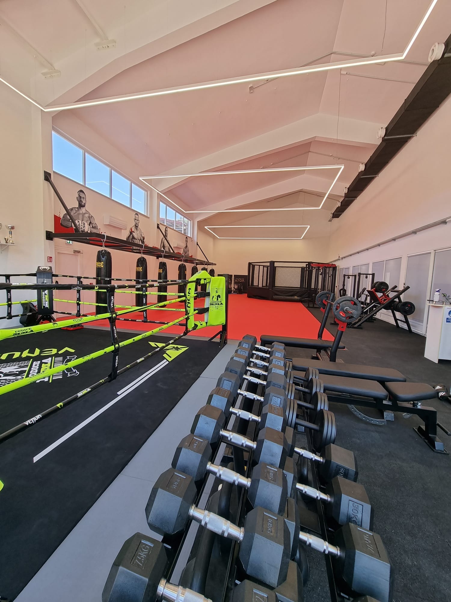 Spacious gym with a boxing ring, punch bags, dumbbell rack, benches and an octagon cage