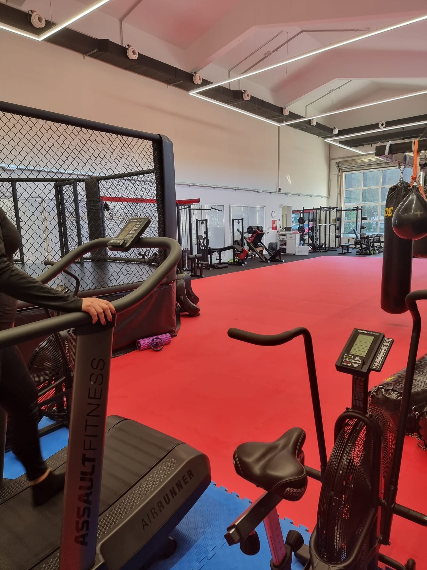 Gym with an air runner treadmill, air bike, octagon cage and red training mats