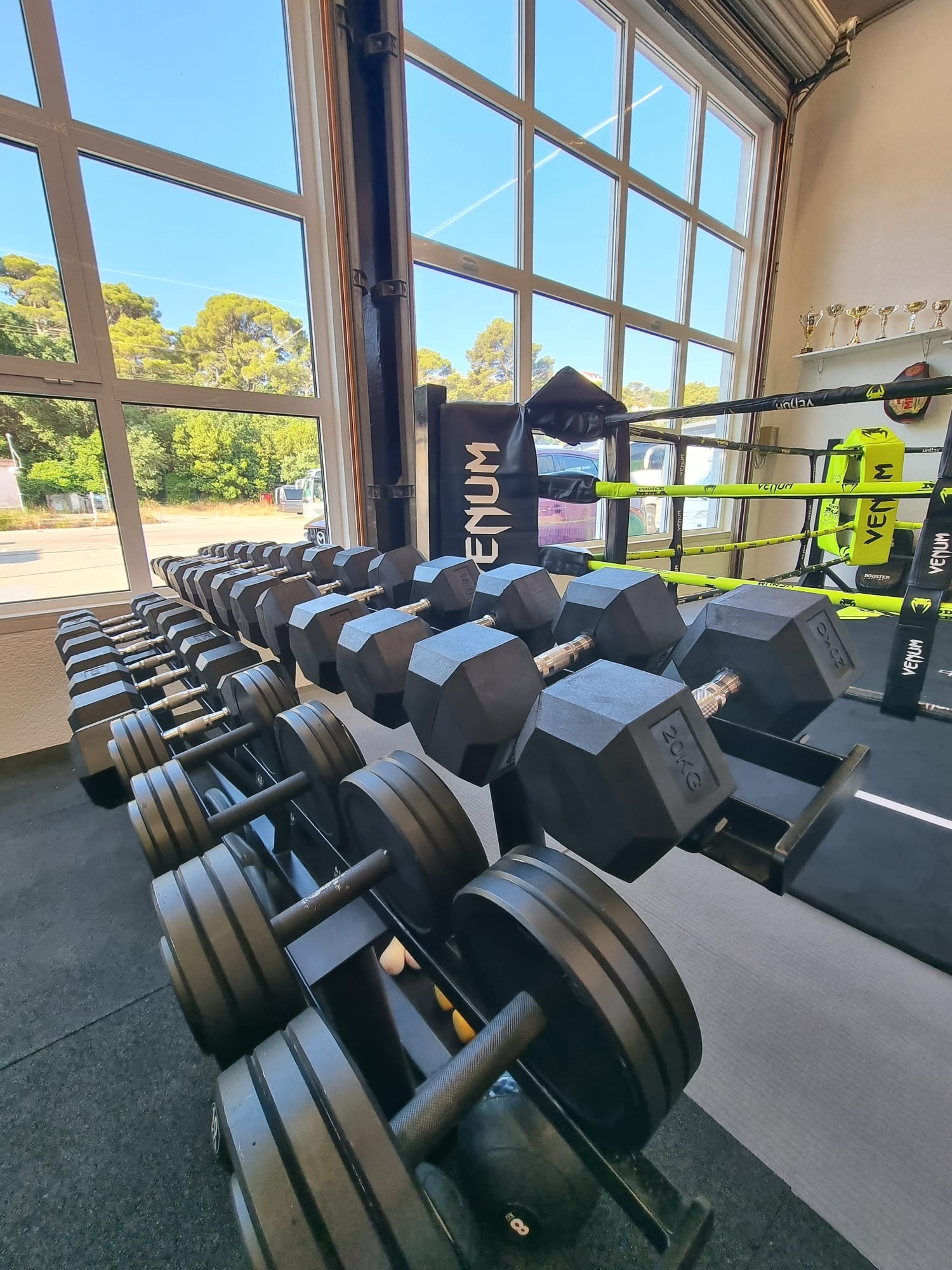 Rack of hex dumbbells and weight plates beside a boxing ring in a bright gym