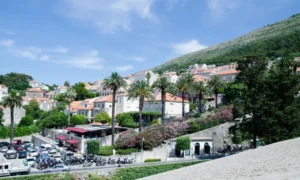 Ten New Trees to Be Planted Across Dubrovnik in Green Tourism Initiative